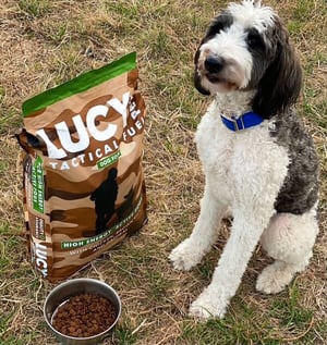 Tactical Fuel for Active Dogs